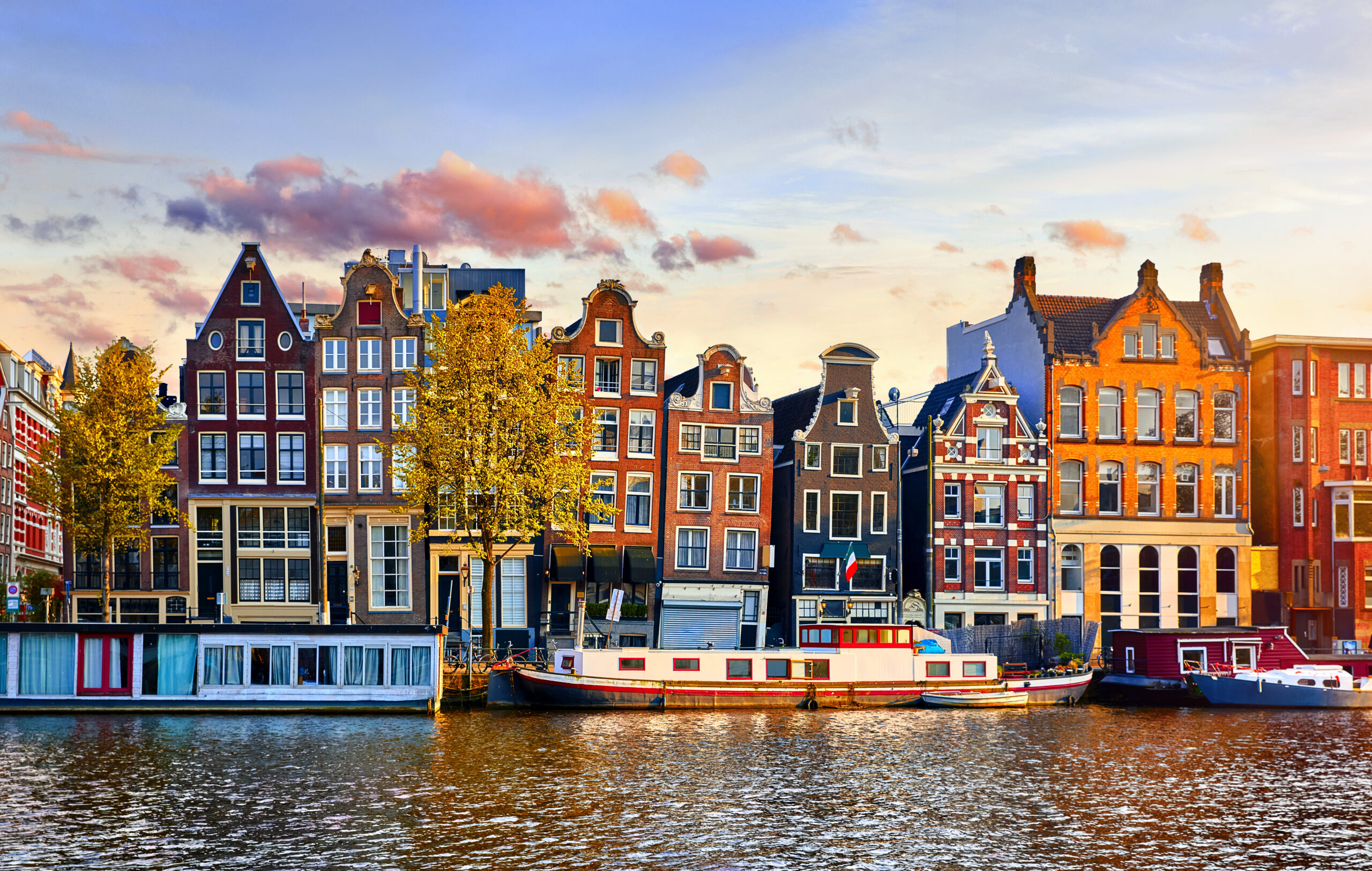 Dutch homes